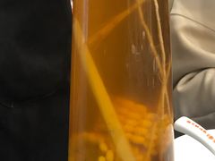 -好彩猪肚鸡(正弘城店)