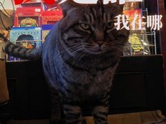 -正阳书局(西四南大街店)