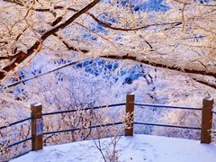 -崂山巨峰游览区