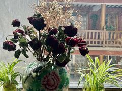 -唐咖精品咖啡(大理古城手冲店)