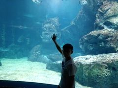 -暹罗海洋世界