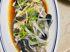 油泼黑头鱼-天伦海鲜·老味道·青岛菜(栈桥天主教堂店)