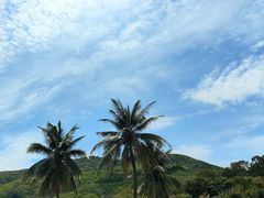 -三亚南山文化旅游区