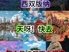 -野象谷景区