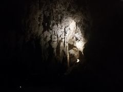 -怀托摩萤火虫洞