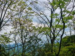 -凤栖山