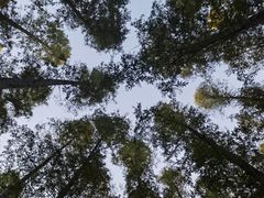 -上海怡沁园度假酒店