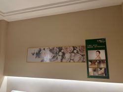 -诗媛嘉美健康管理中心(金桥店)