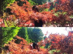 -贵阳市花溪国家城市湿地公园