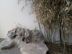 -桃花堤公园