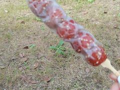 -九科绿洲