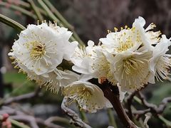 -静安雕塑公园