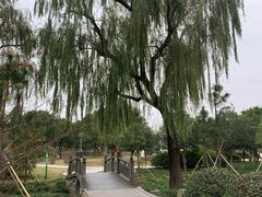 -徐福公园