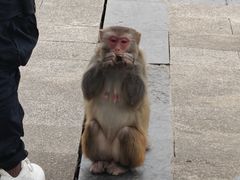 -重庆云阳龙缸景区