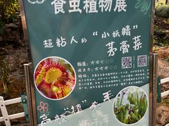 -南通洲际绿博园