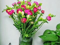 -双季花艺园艺市场(浦东店)
