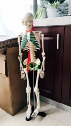 -Union瑜伽健康管理中心