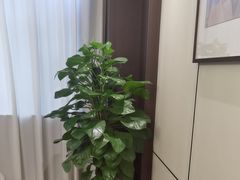 -聚宾楼·烤鸭·家宴(科技三路店)