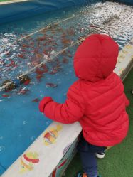 -萌宠亲子动物乐园(槐房万达店)