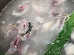 -淘米捞·米汤脆鲩鱼火锅(福田皇岗店)