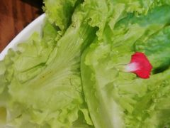 -快乐小羊(富强中路店)