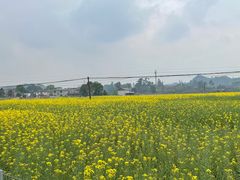 -临江后街鳝丝(临江店)