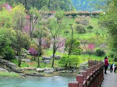 -桃花岭景区