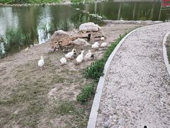 -南翠屏公园