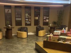 -端艾堂·SPA·艾灸(棕榈泉013店)