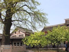 -常熟方塔园