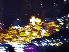 -小天鹅火锅·一线江景洪鼎旗舰店(洪崖洞店)