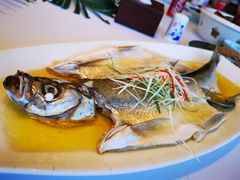 -同庆楼(金宝汇店)