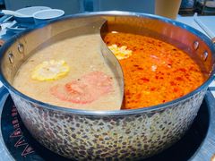-濠七糟粕醋•海南酸汤火锅(中关村店)