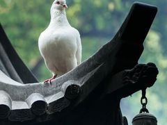 -杭州上天竺法喜讲寺