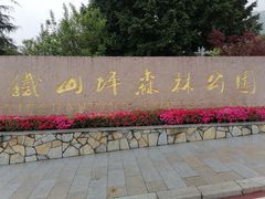 -铁山坪森林公园