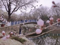 -满都海公园