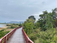 -月亮湾湿地公园