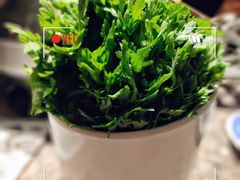 -禄婶鸡煲·打边炉