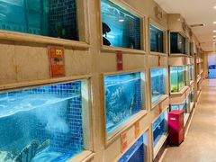 水产区-顺峰(农展馆店)