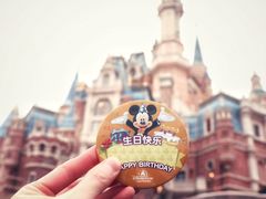 -上海迪士尼度假区