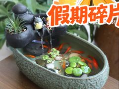 -哈尔滨道外花鸟鱼市场