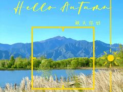 -野鸭湖国家湿地公园