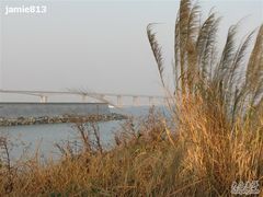 -大湾区中央湿地公园