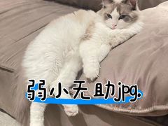 -泰康拜博口腔医院(江北总院)