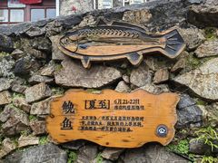 -东沙渔村