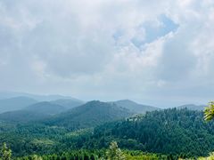 -武陵山森林公园