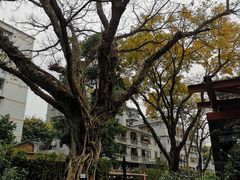 -南越王博物院(王宫展区)