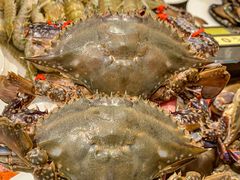 -渔娘渔家丹东海鲜(东直门店)