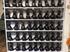 -猫咪博物馆(顶澳仔猫街店)