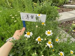 -黄兴公园